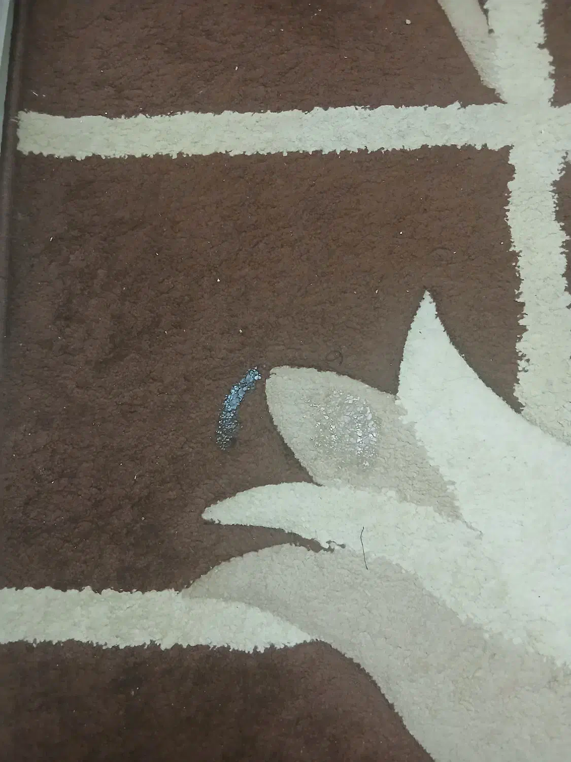 گلیم|گلیم، جاجیم، گبه|سبزوار, قصبه اب یمین|دیوار