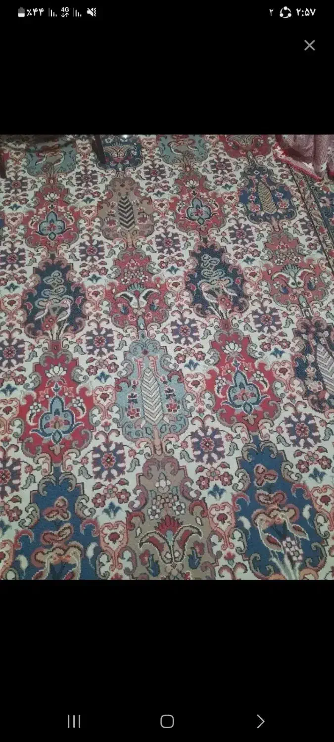 فرش اشپزخانه|فرش|کرمان, |دیوار