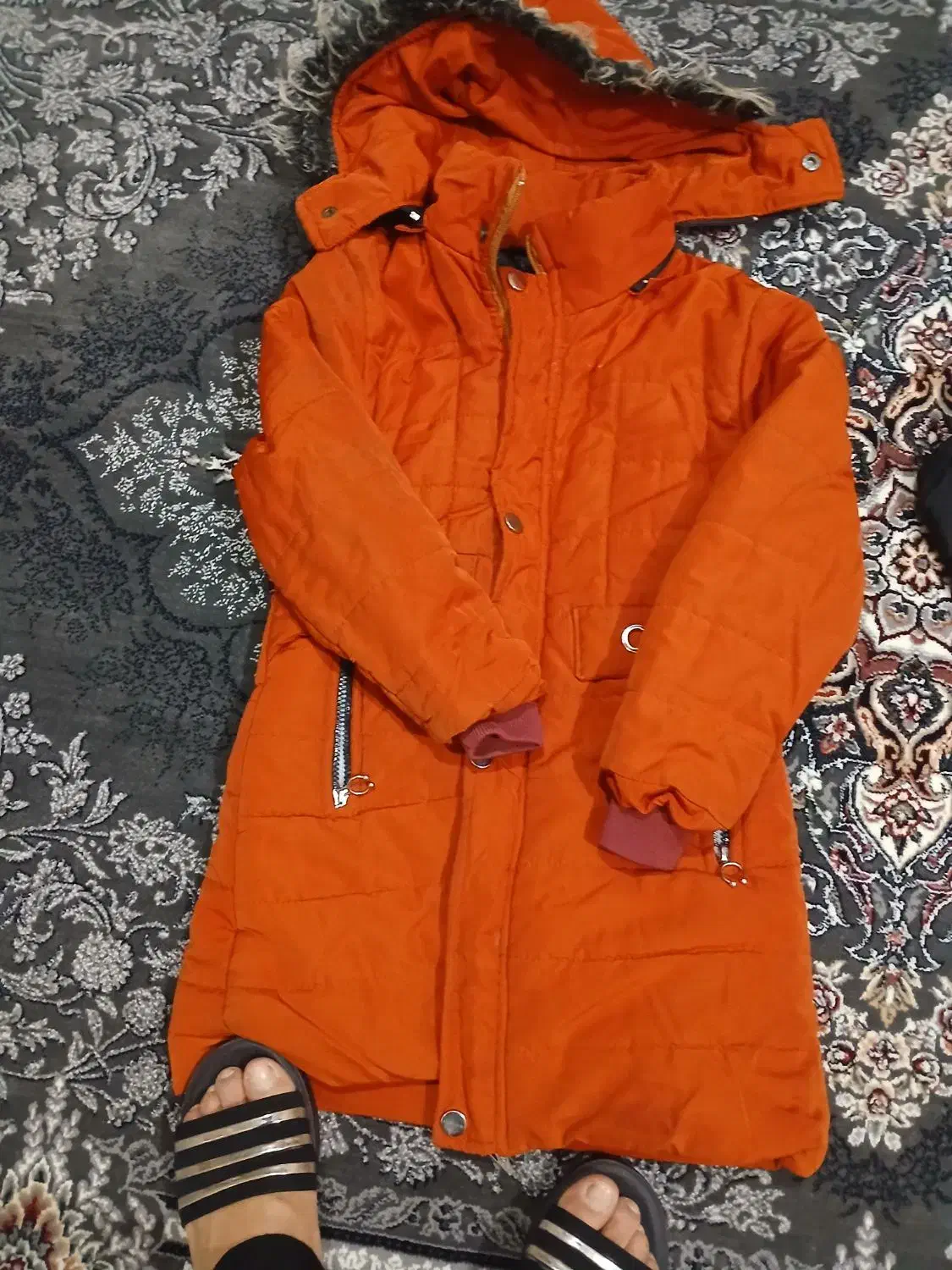 کاپشن|لباس|دورود, |دیوار