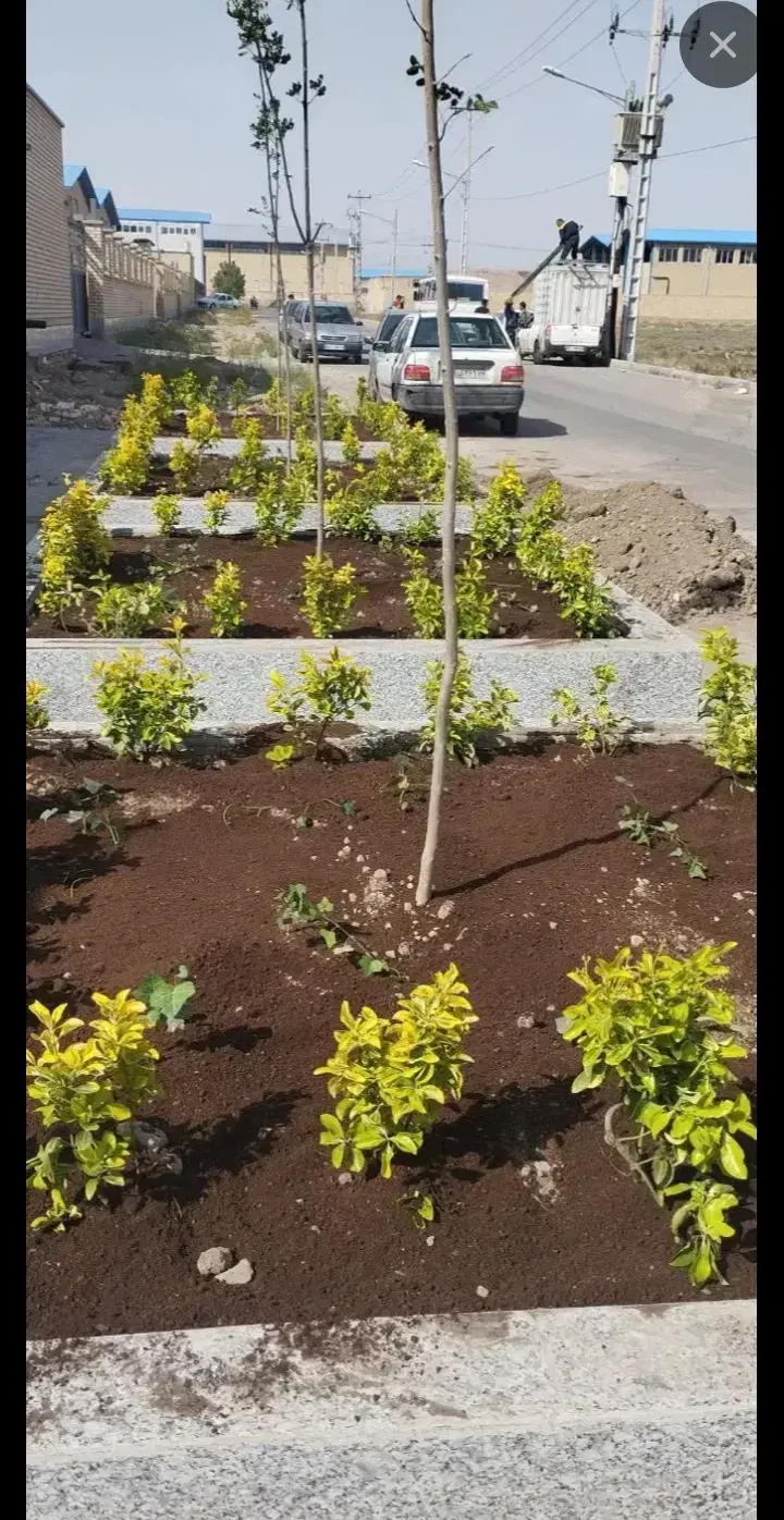 باغبانی سمپاشی کودهی هرس گلکاری علف کشی باغبانی|خدمات باغبانی و درختکاری|مشهد, کوثر|دیوار