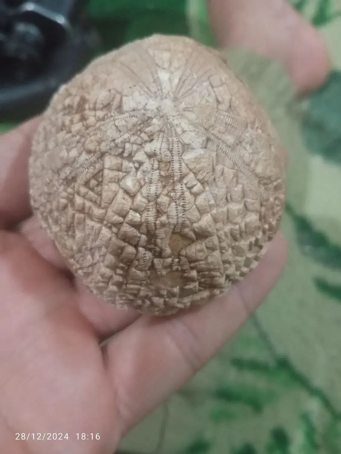 سنگ قیمتی|کلکسیون اشیاء عتیقه|نورآباد, |دیوار