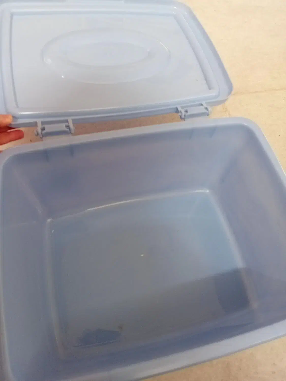 جا نان|ظروف نگهدارنده، پلاستیکی، یکبارمصرف|مشگین شهر, |دیوار