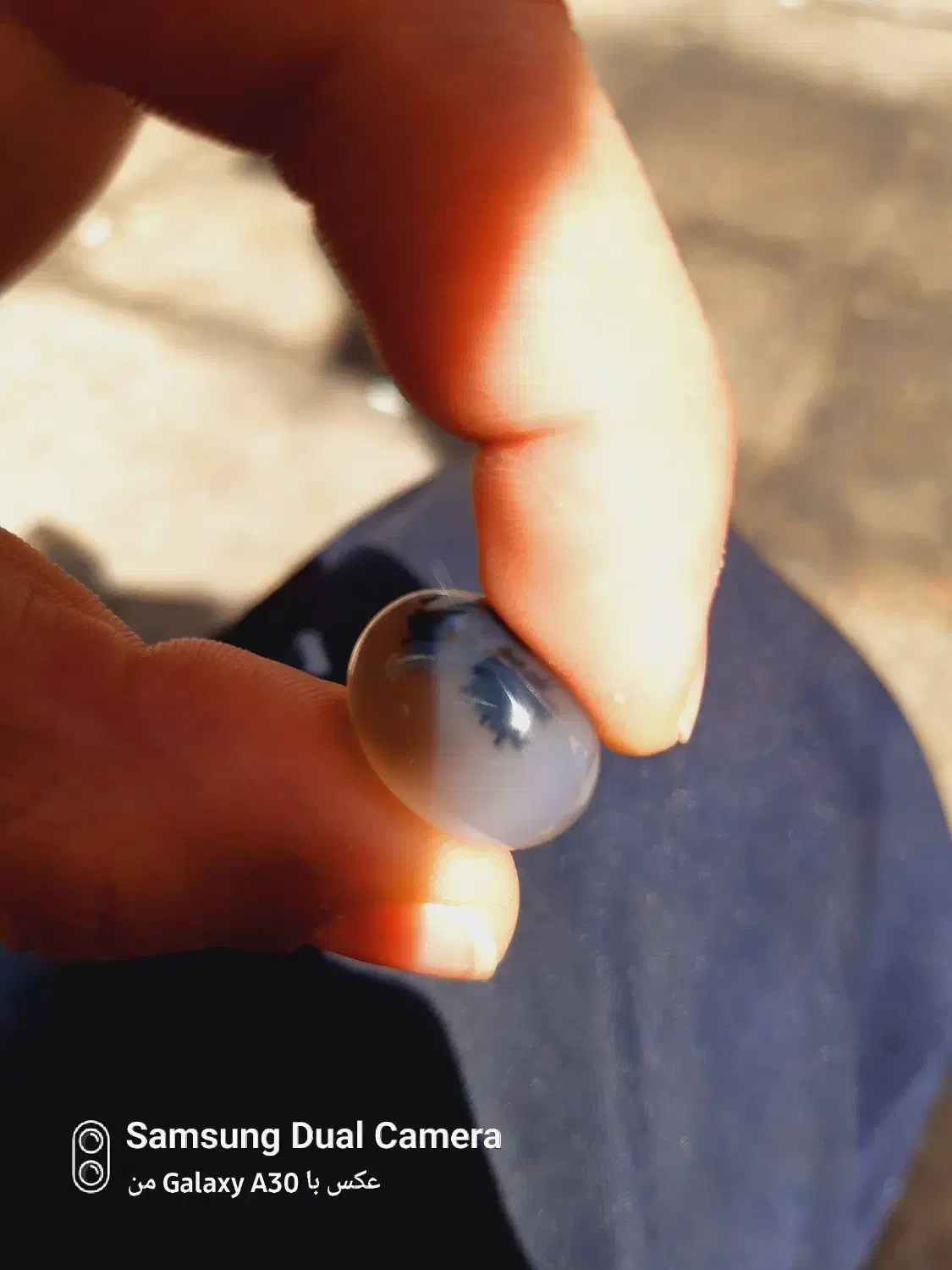 شجر|بدلیجات|شیراز, شاپورجان|دیوار