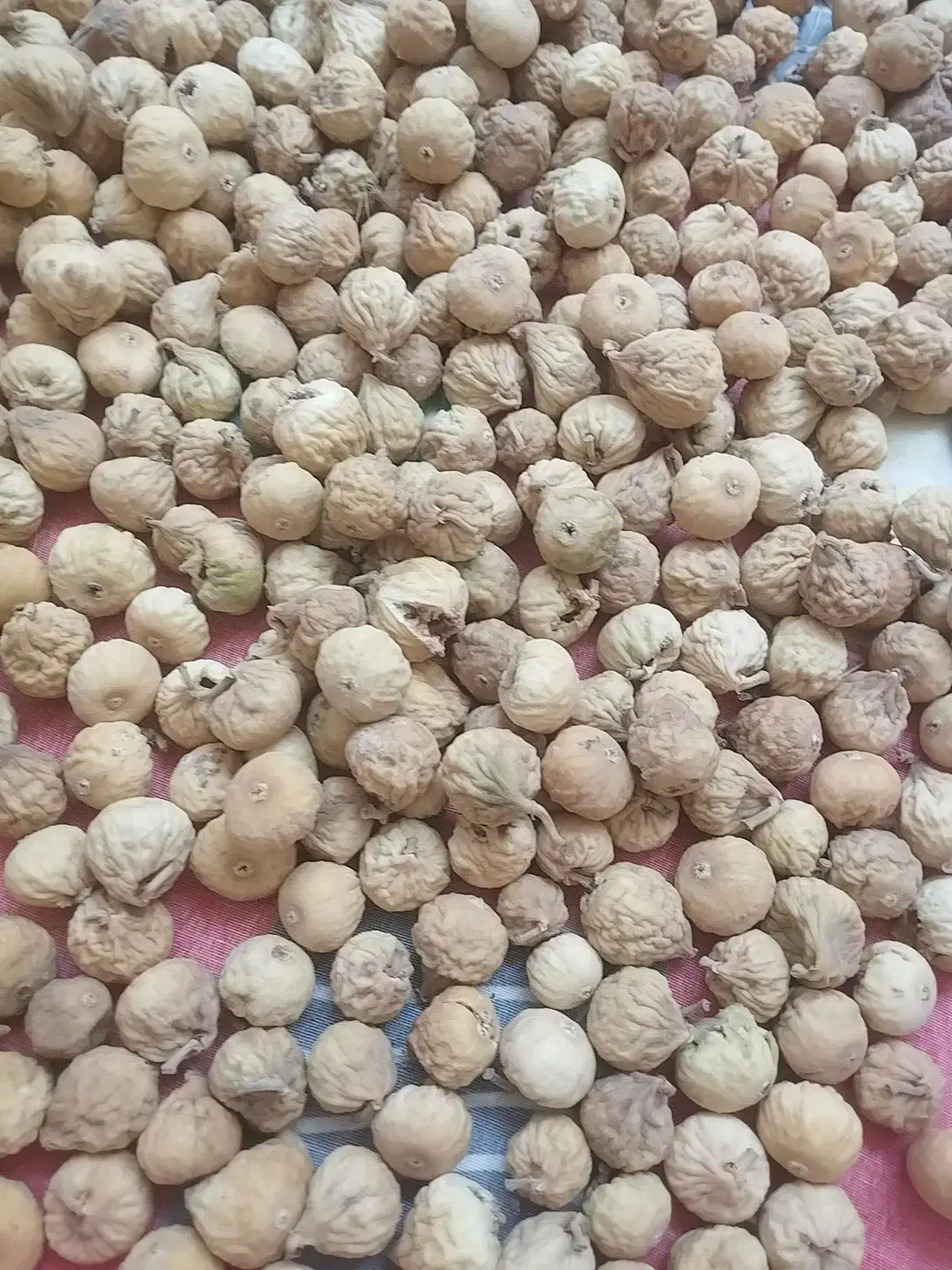 انجیر گوشتی تازه کیلویی ۴۸۰|خوردنی و آشامیدنی|شیراز, شهرک ولیعصر|دیوار