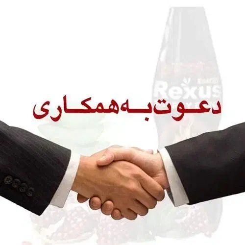 استخدام مدیر فنی/مدیر فروش/کارشناس گرافیک(رکسوس)|استخدام اداری و مدیریت|شیراز, سلطان آباد|دیوار