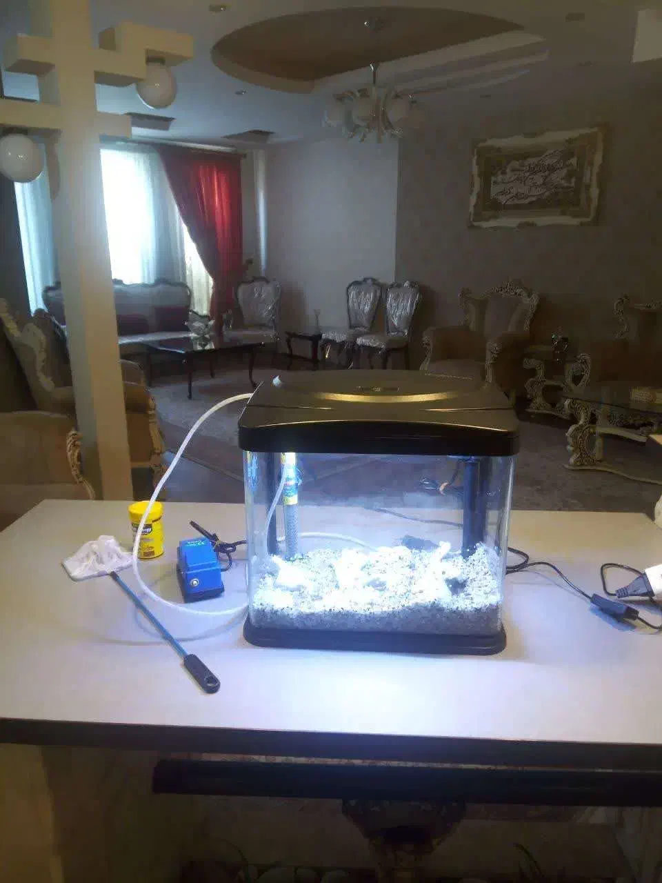 آکواریوم شرکتی شیشه خم|ماهی|فردیس, نگارستان|دیوار