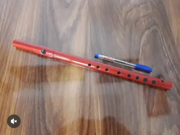 فلوت ایرانی|سازهای بادی|تهران, حر|دیوار