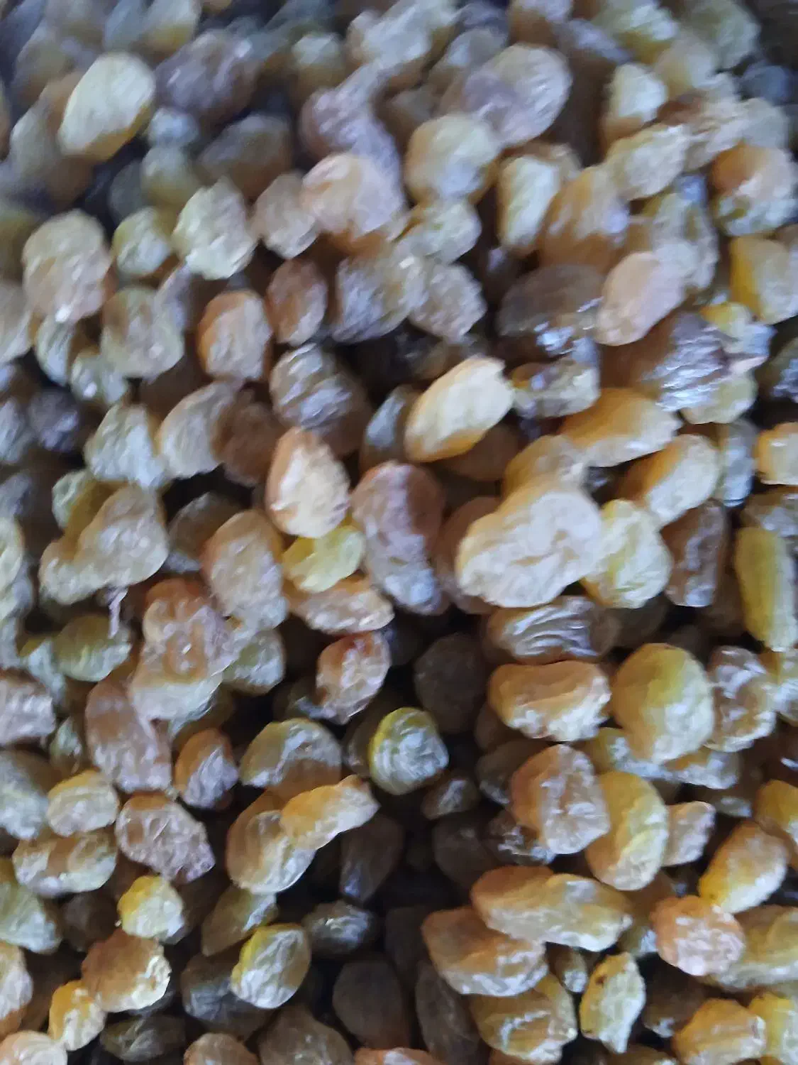 کشمش افتابی|خوردنی و آشامیدنی|پردیس, فاز ۲|دیوار