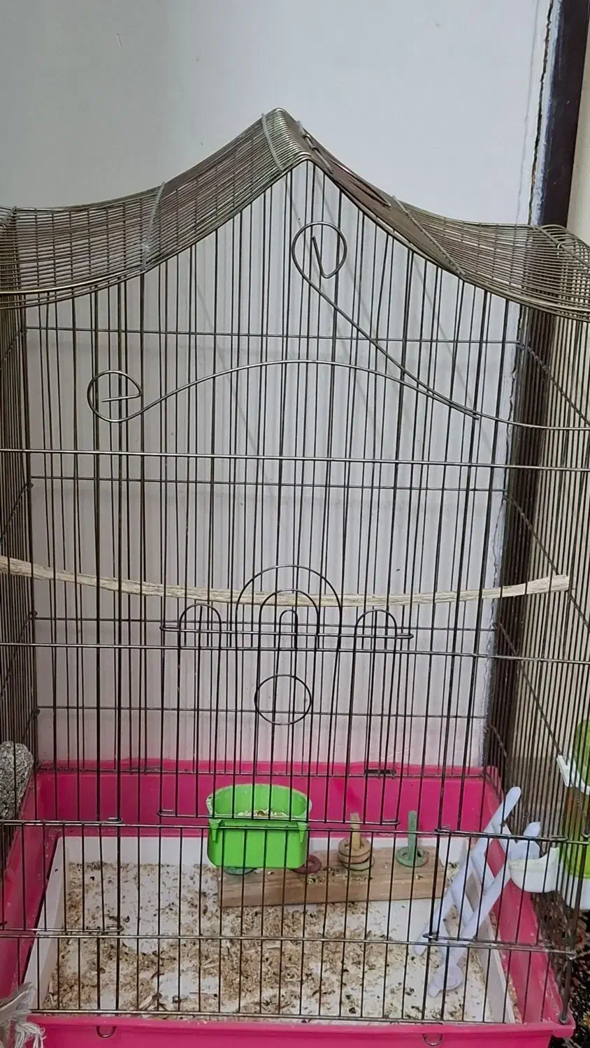 قفس بزرگ عروس هلندی|لوازم جانبی حیوانات|تهران, بیسیم|دیوار