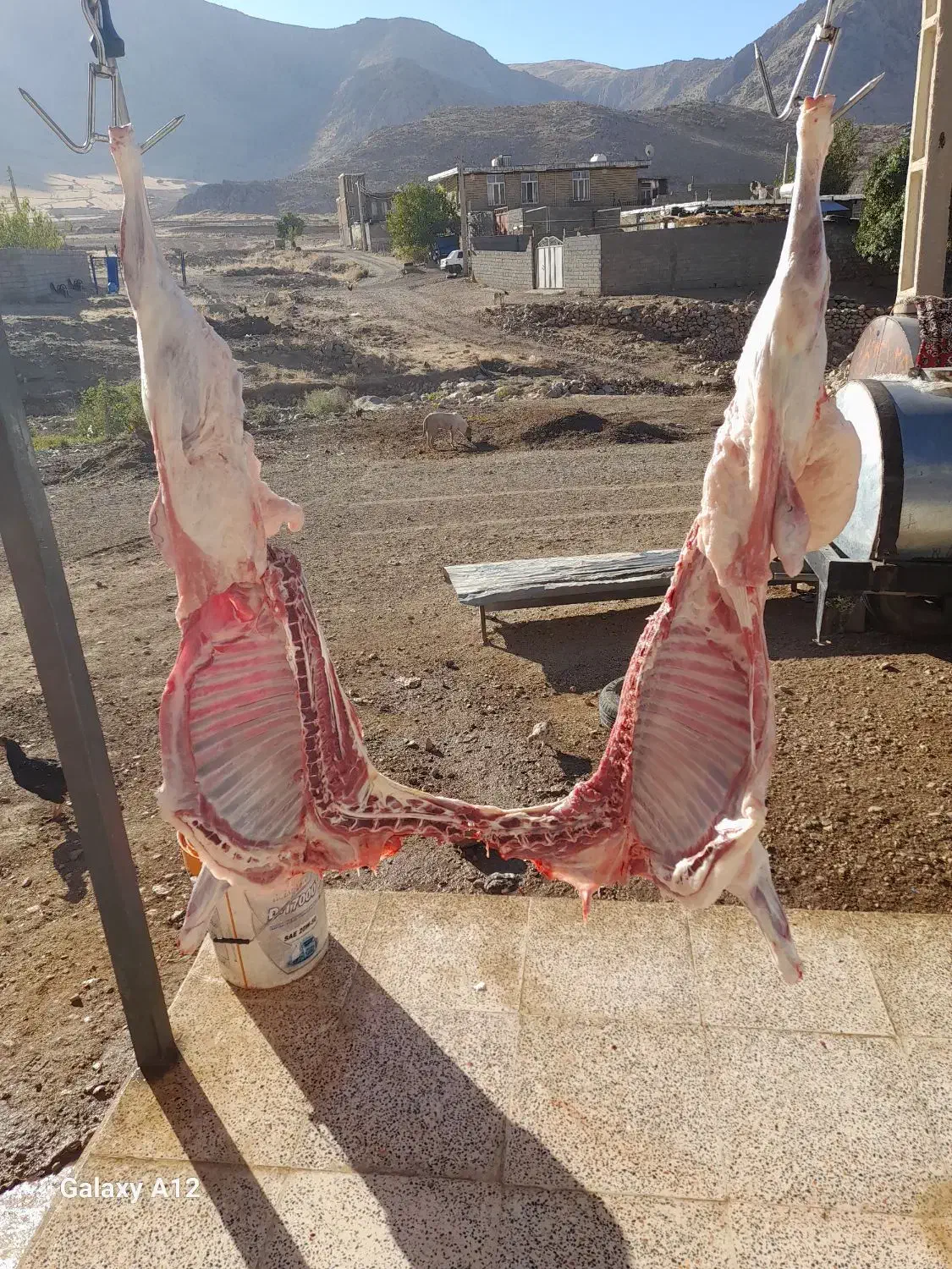 گوشت بره و گوساله محلی و بزغاله|خوردنی و آشامیدنی|روانسر, |دیوار