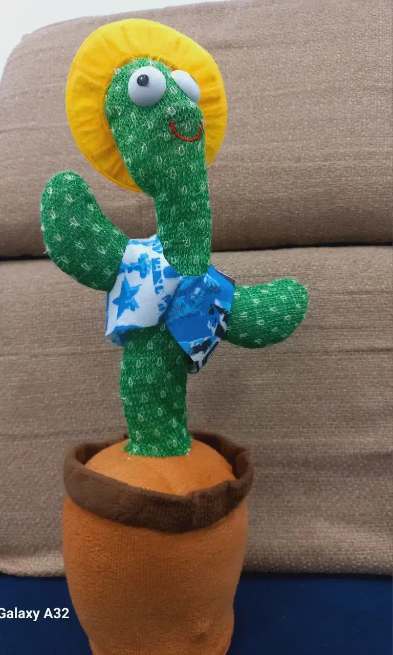 کاکتوس اسباب بازی|اسباببازی|طبس, |دیوار