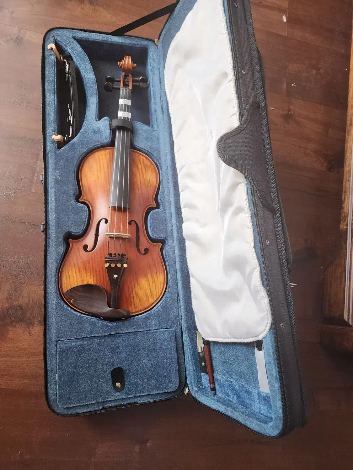 ویلون حرفهای|ویولن|تبریز, |دیوار