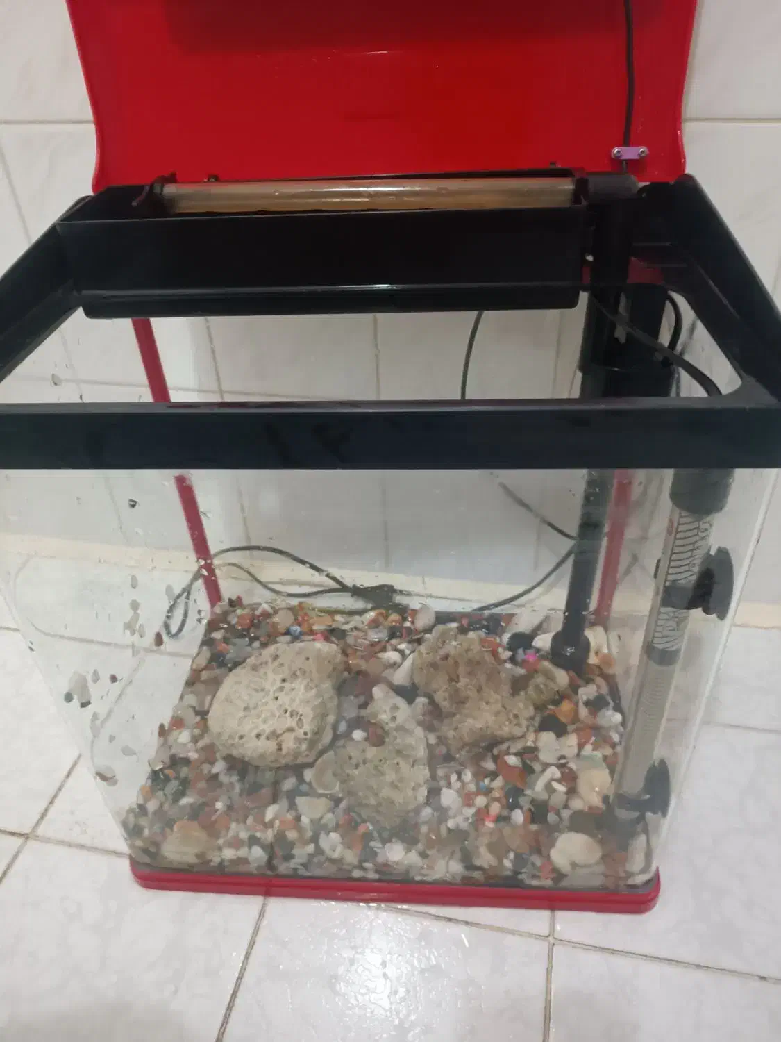 آکواریوم درحد|ماهی|اردبیل, |دیوار