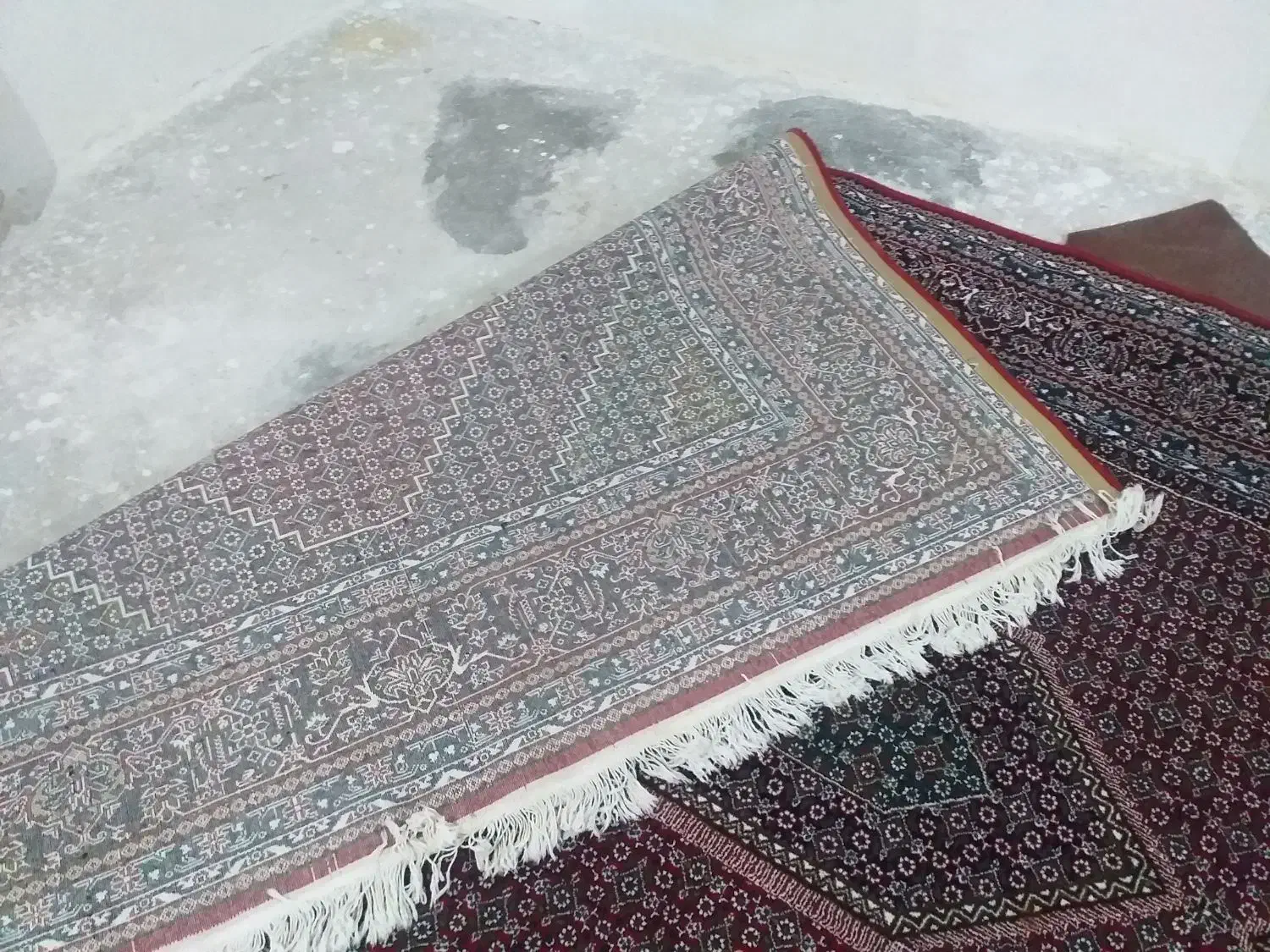 فرش ۶ متری|فرش|سنندج, |دیوار