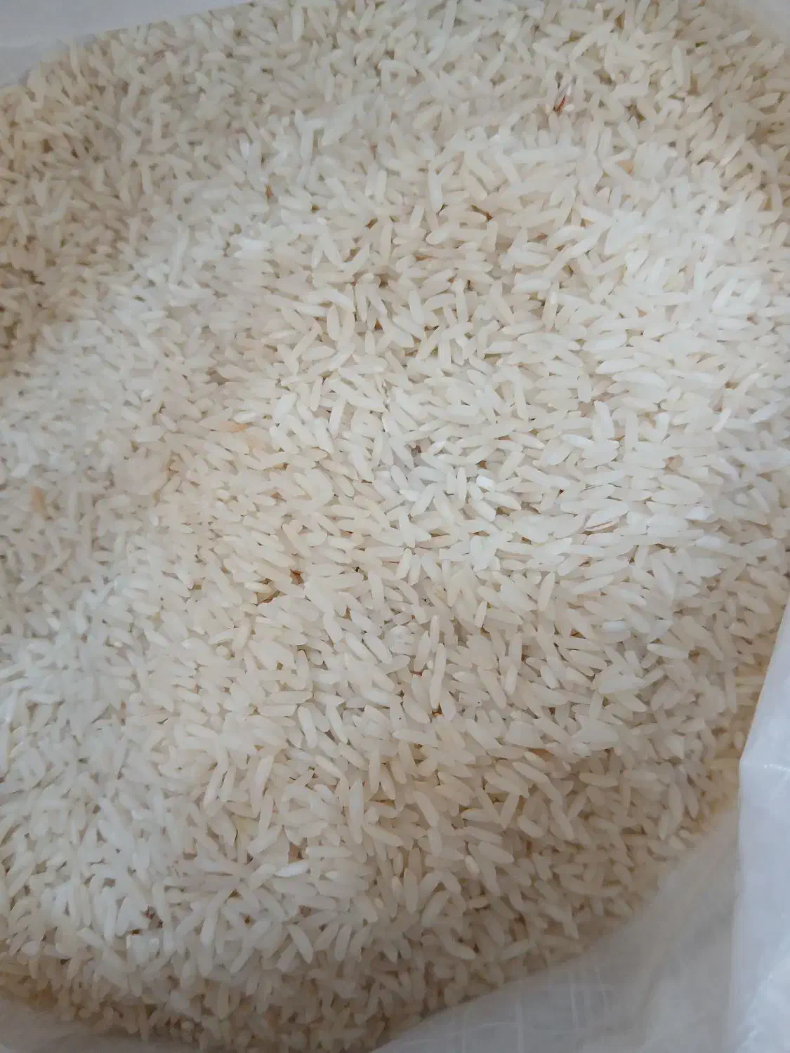 برنج هاشمی آستانه|خوردنی و آشامیدنی|آستانه اشرفیه, |دیوار