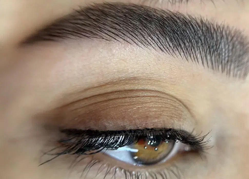 میکروی ابرو کاملا رایگا.ن ظرفیت محدود|خدمات آرایشگری و زیبایی|تهران, اکباتان|دیوار