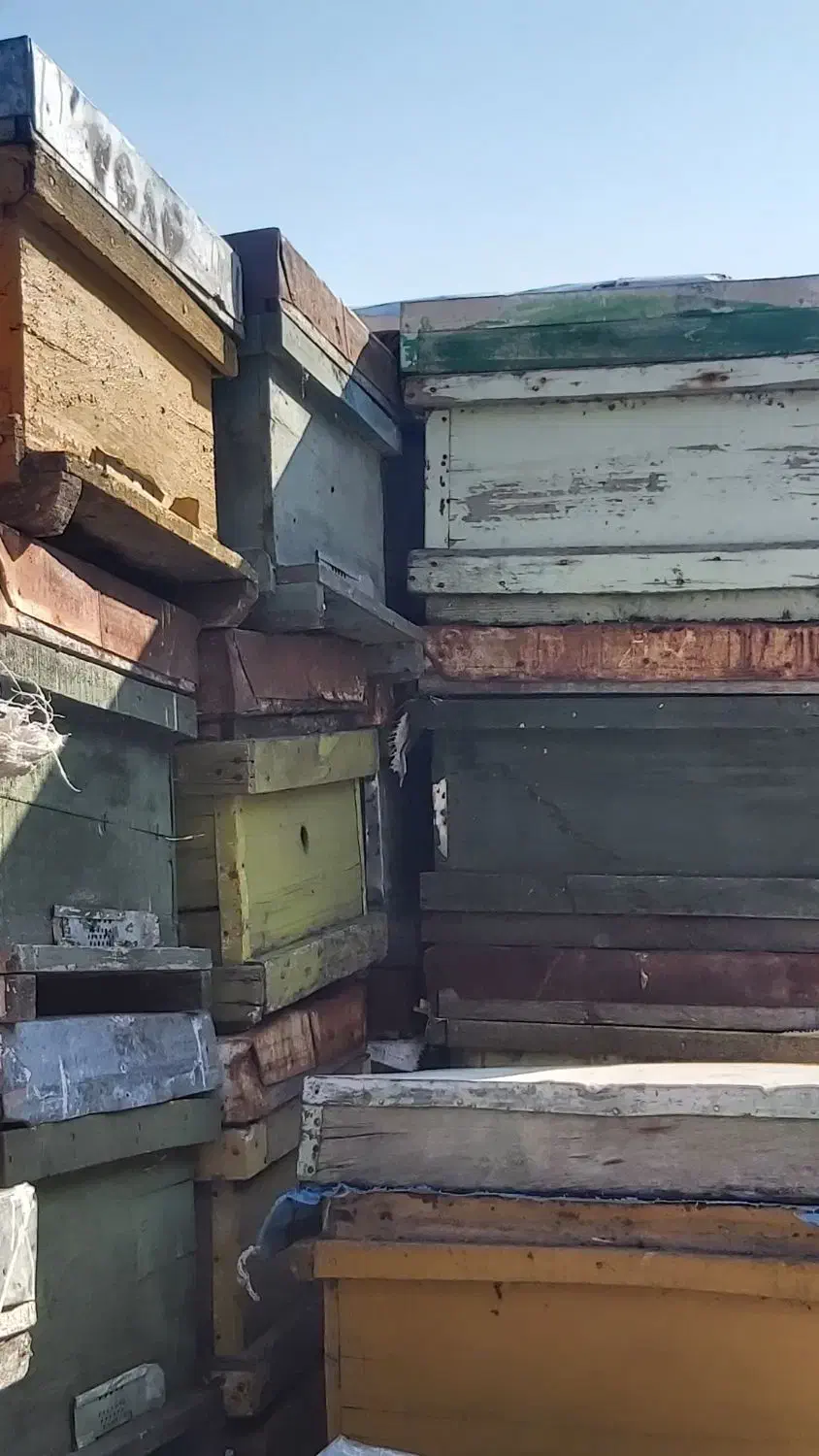 کندو زنبور عسل|حیوانات مزرعه|فیرورق, |دیوار