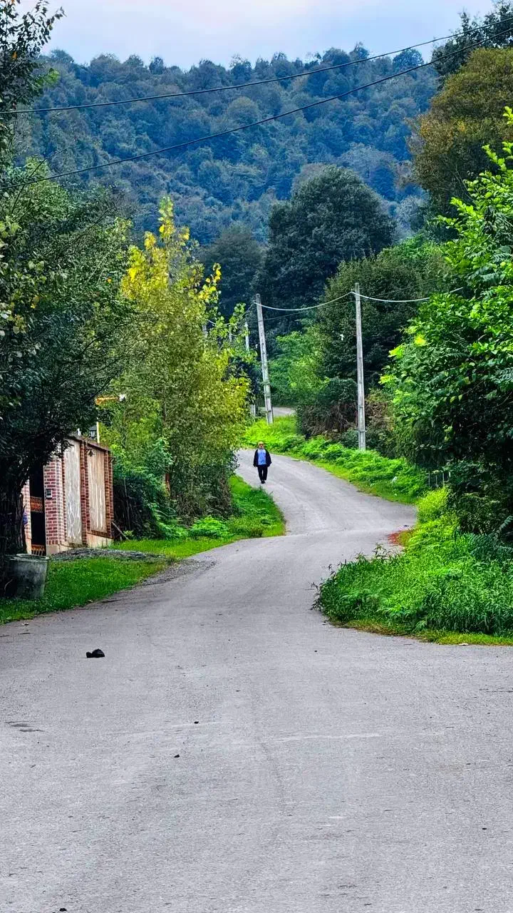 250مترویلا مدرن نوساز کوهپایه جنگلی|فروش خانه و ویلا|فومن, |دیوار