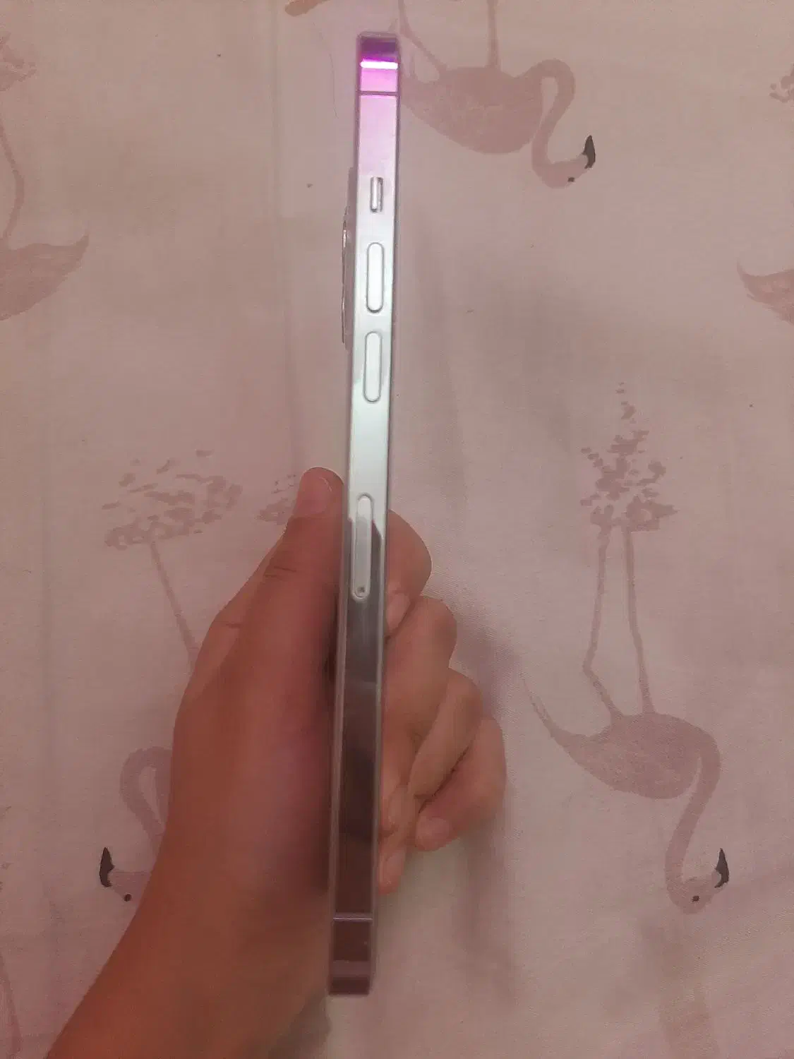 موبایل آیفون ۱۲ پروکس فیک|موبایل|زنجان, |دیوار