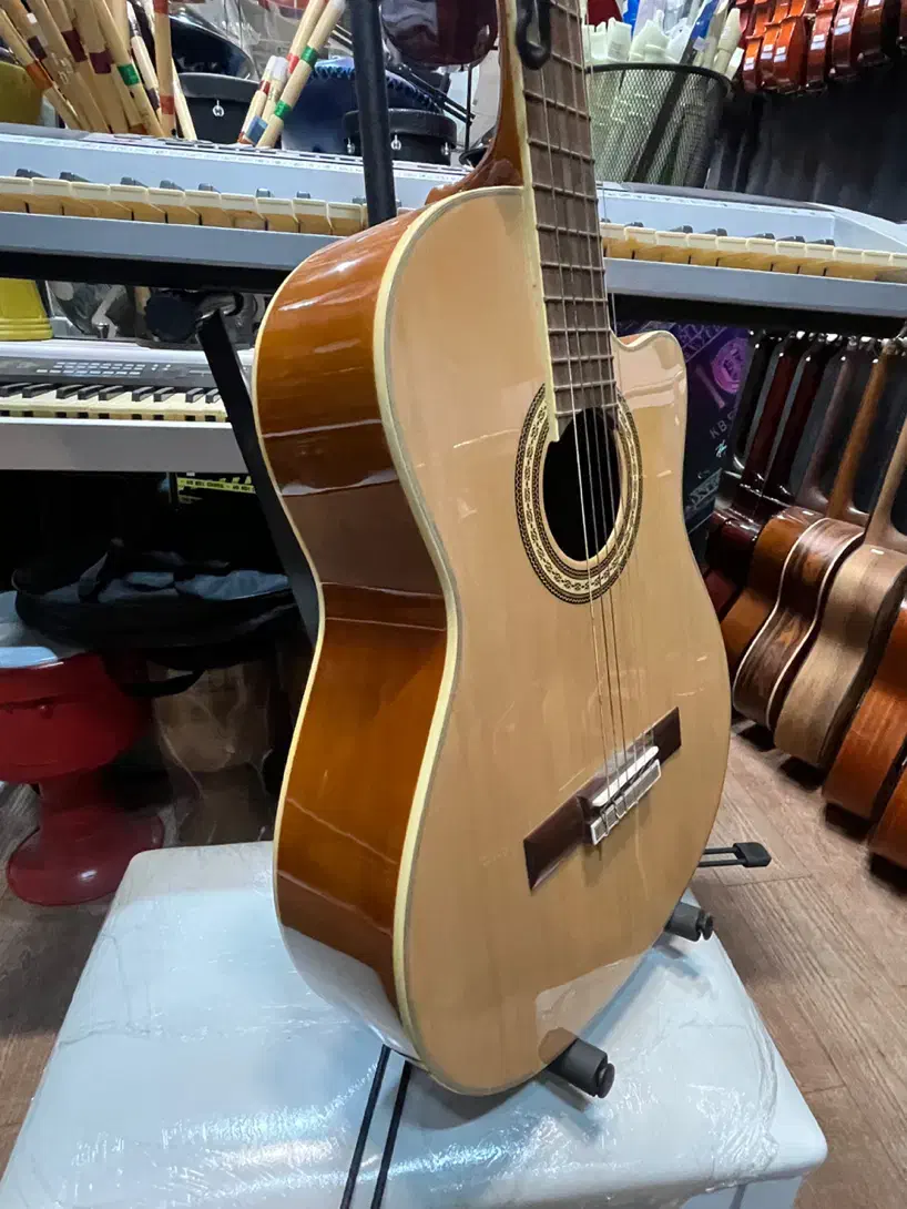 گیتار کلاسیک کاتوی سانتانا گالری موسیقی آرتیا|گیتار، بیس، امپلیفایر|لاهیجان, انقلاب|دیوار