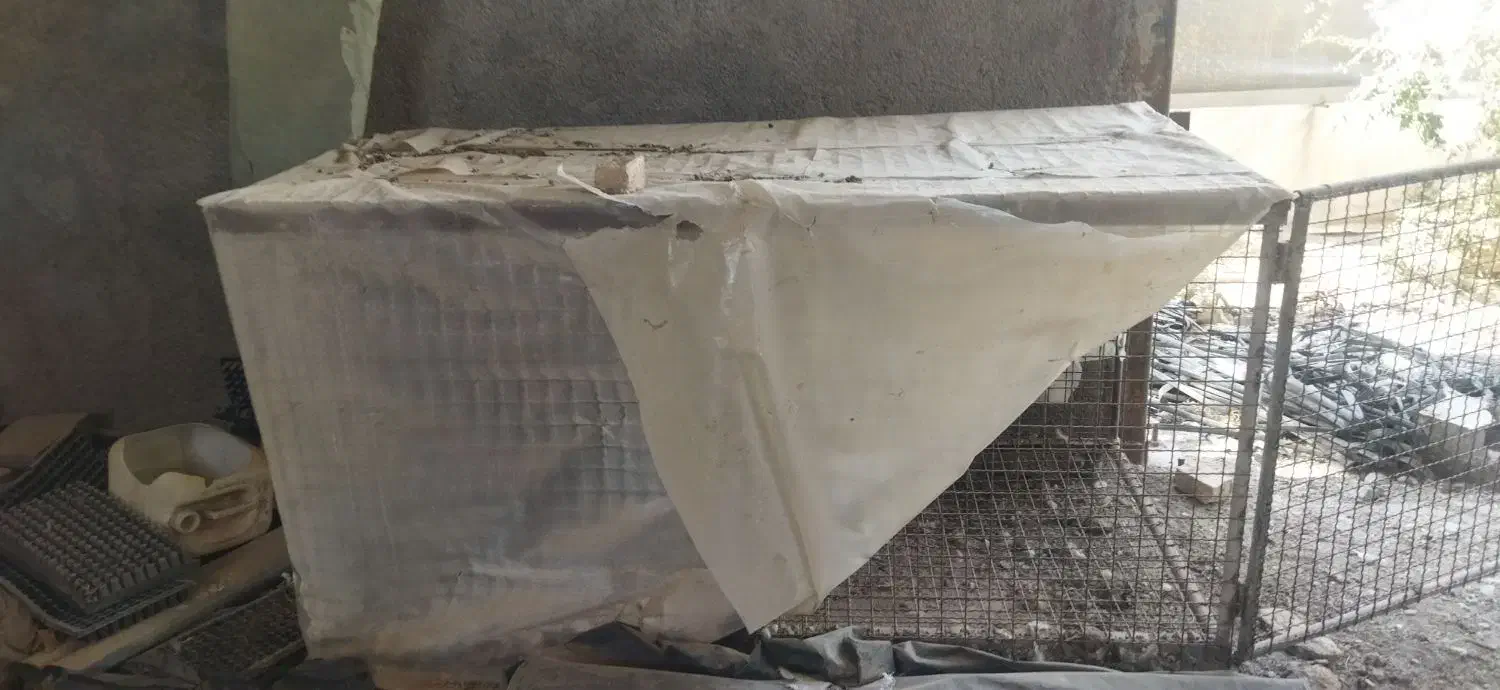 قفس|پرنده|پاکدشت, پاکدشت (مامازند)|دیوار