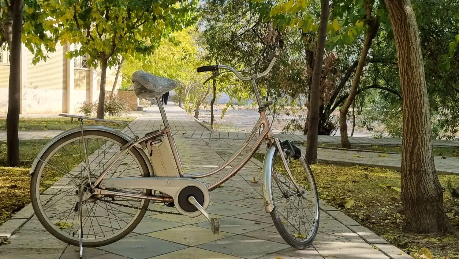 دوچرخه ژاپنی برقی|دوچرخه، اسکیت، اسکوتر|ری, علایین|دیوار