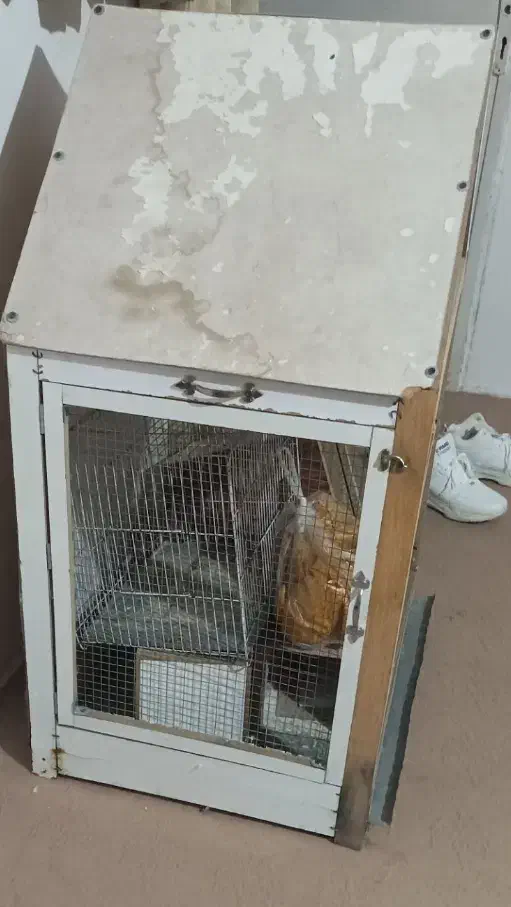 قفس پرنده|لوازم جانبی حیوانات|قوچان, |دیوار