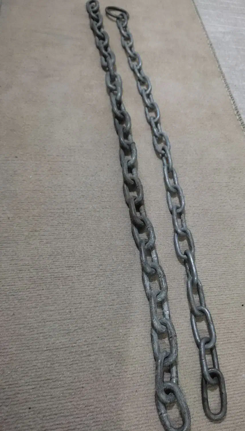 زنجیر.شیر.قفسه|حراج|ایذه, |دیوار