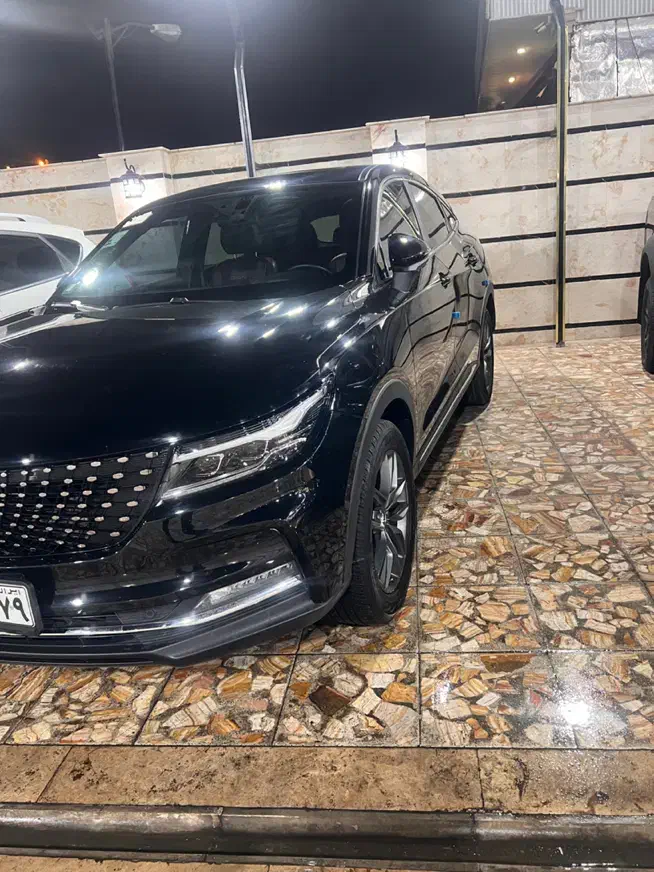 دیگنیتی مشکی داخل مارون ۴۰۳|خودرو سواری و وانت|رشت, کاکتوس|دیوار