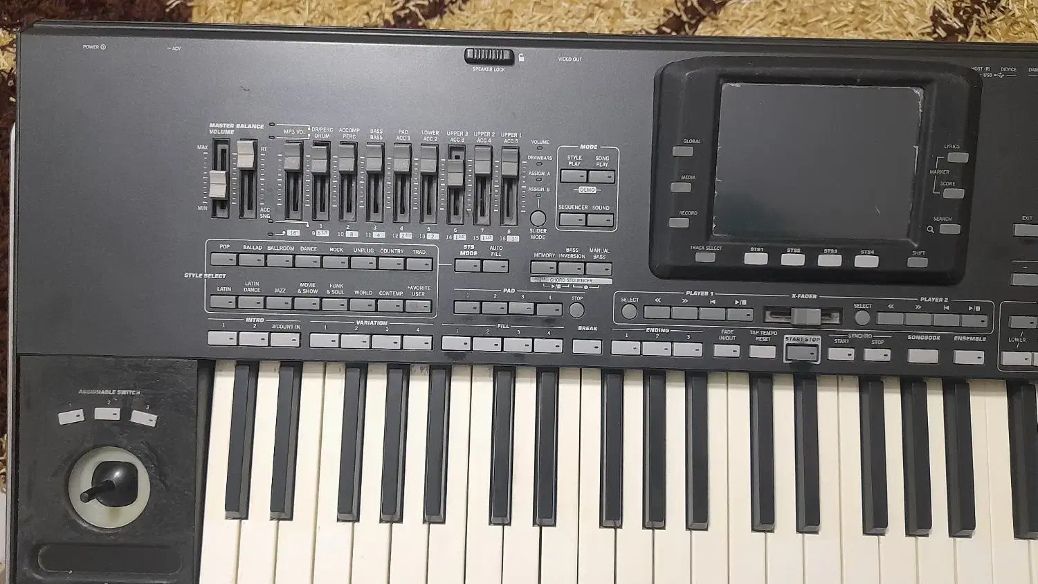 pa3x ، خواننده|پیانو، کیبورد، آکاردئون|قدس, شهرقدس|دیوار