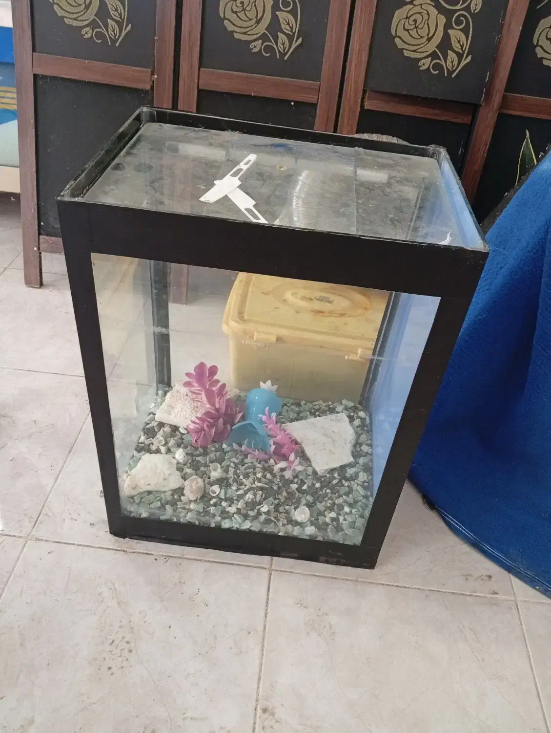 آکواریوم|لوازم جانبی حیوانات|بهشهر, |دیوار