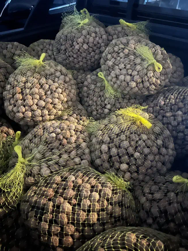 گردو بومی|خوردنی و آشامیدنی|اصفهان, باغ دریاچه|دیوار