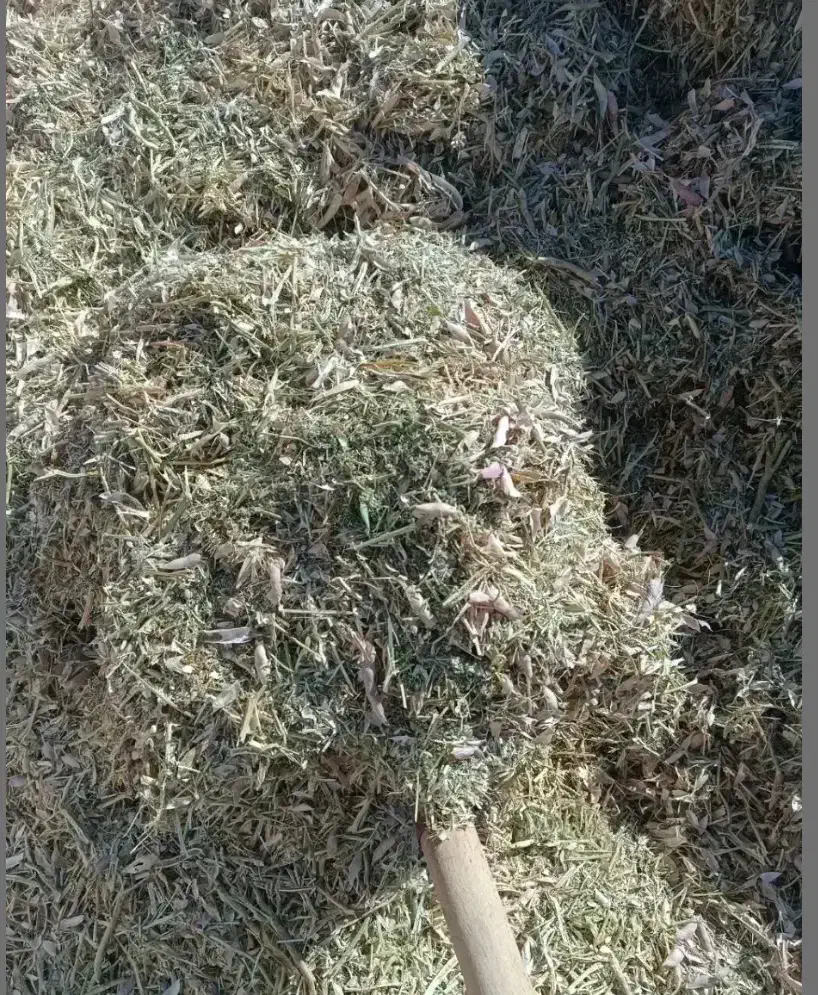 کاه لوبیا|لوازم جانبی حیوانات|مرودشت, ابوذر شمالی‎|دیوار