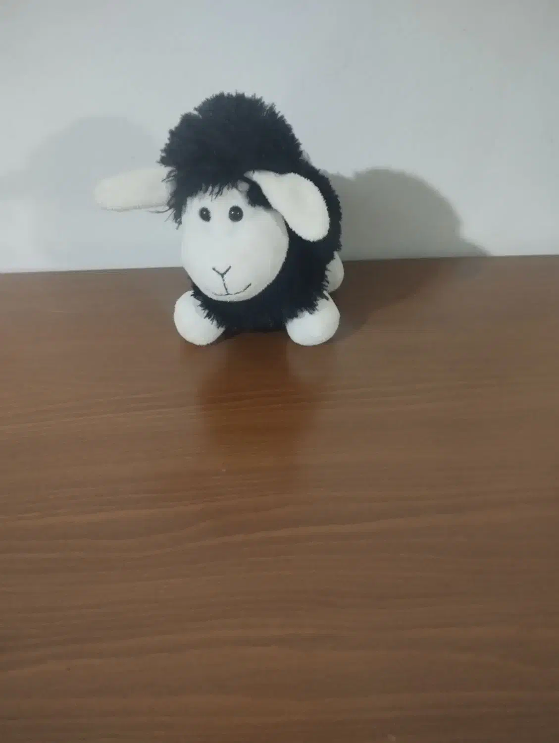 عروسک|اسباب‌‌بازی|قوچان, |دیوار