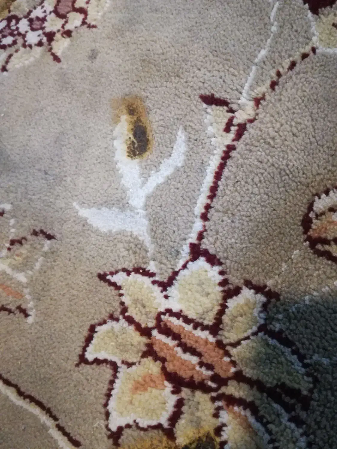 مالی|خدمات مالی، حسابداری، بیمه|مشهد, حضرت حجت|دیوار