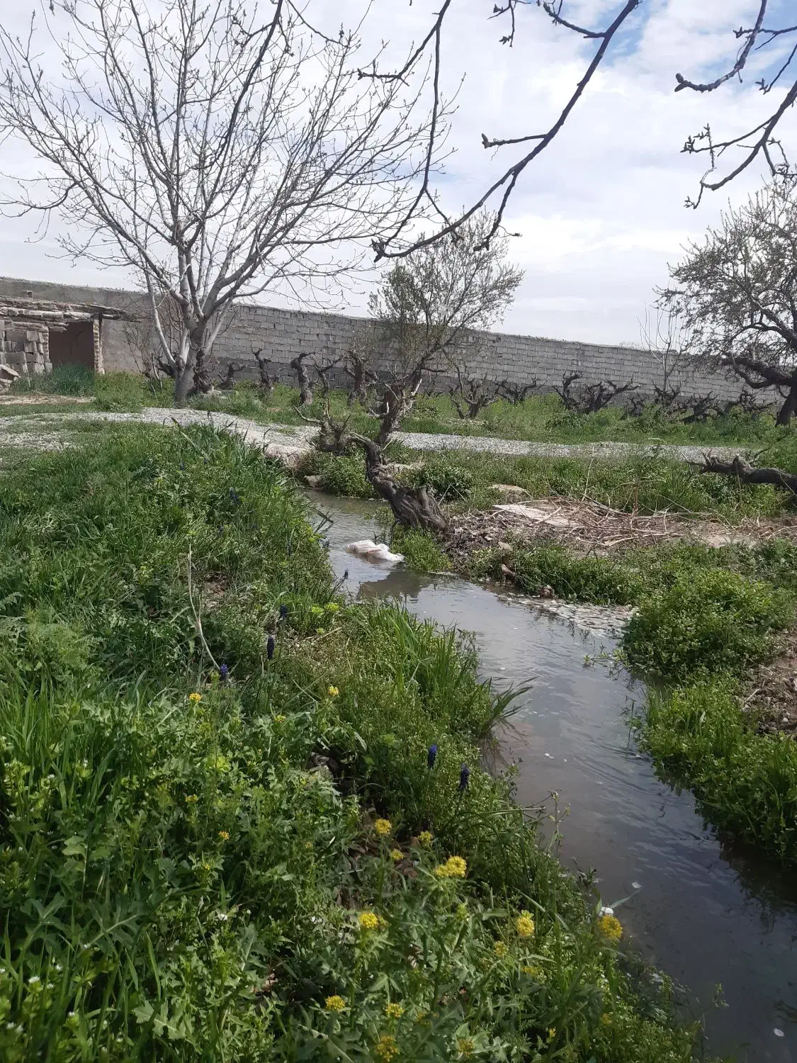 باغچه|فروش زمین و ملک کلنگی|رباطکریم, انجم آباد|دیوار