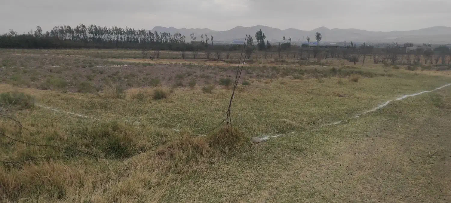 ۵ من محلی فقط ۲۵۰ میلیون فقط امروز ارزون میدم|فروش زمین و ملک کلنگی|مراغه, |دیوار