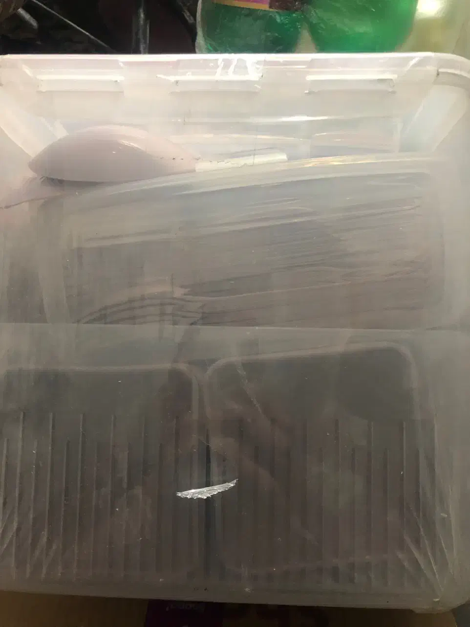 سرویس کامل بقشاب و قاشق مسافرتی ۶۰ عددی،جنس خوب|ظروف نگهدارنده، پلاستیکی، یک‌بارمصرف|تهران, هفده شهریور|دیوار