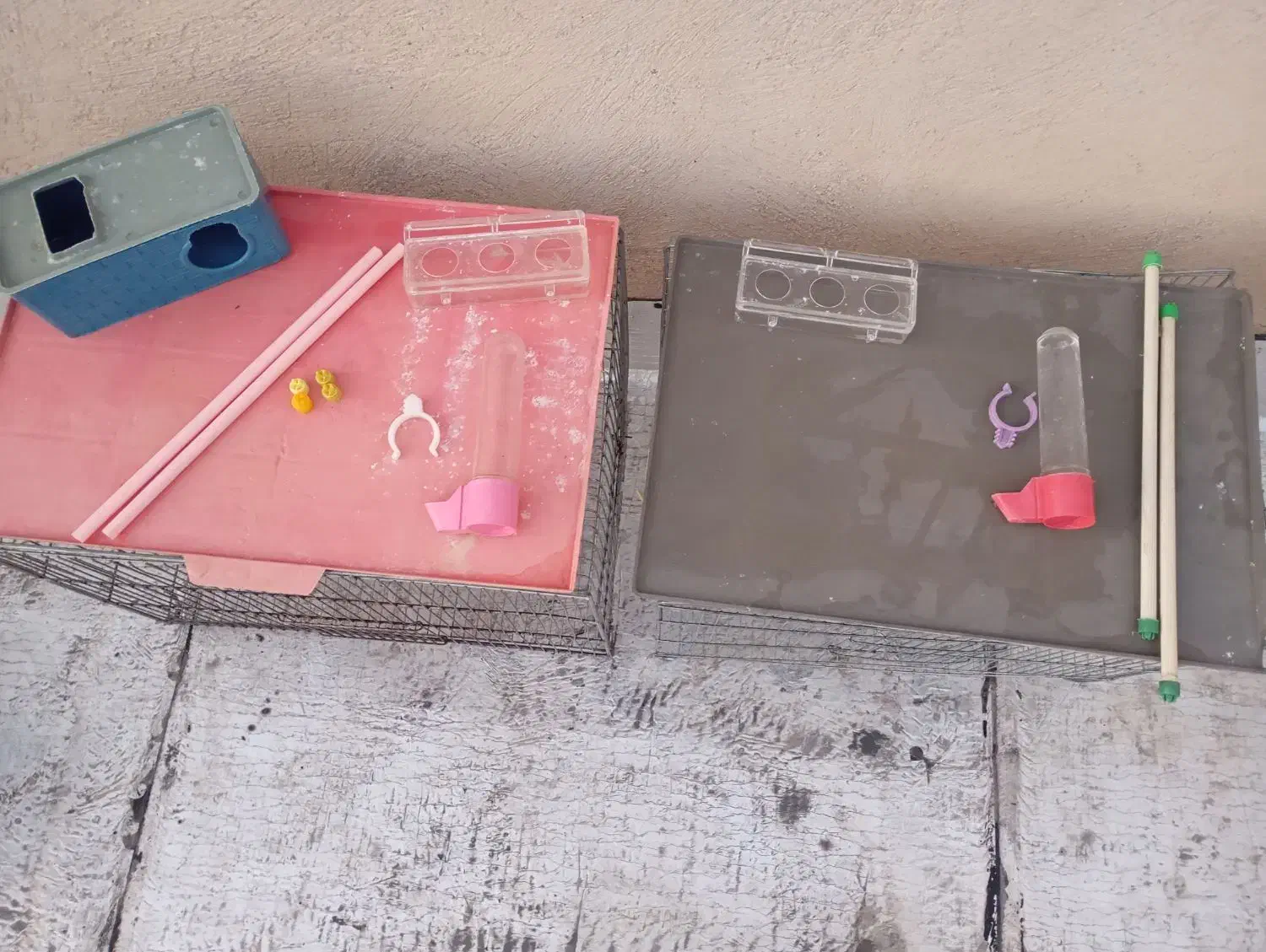 قفس|لوازم جانبی حیوانات|خوی, |دیوار