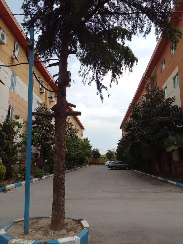 آپارتمان ۸۲متری سند دارد منطقه صفر جنگل|فروش آپارتمان|امامزاده عبدالله, |دیوار