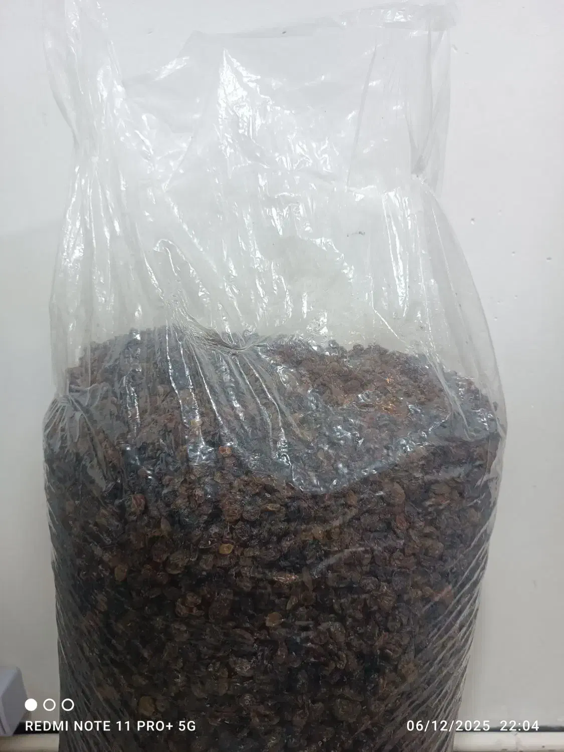 کشمش بیدانه افتاب خشک|خوردنی و آشامیدنی|هشتگرد, شهرک راه آهن|دیوار