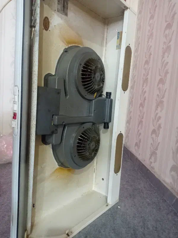 هود|هود|خرمشهر, |دیوار