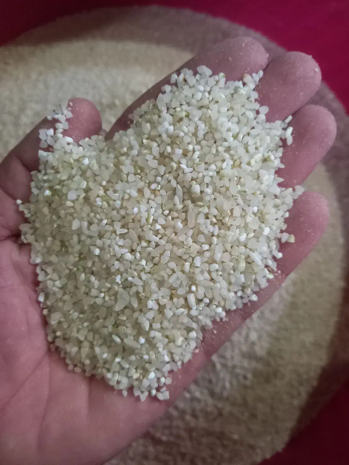 خورده برنج کامفیروزی|خوردنی و آشامیدنی|شیراز, شهرک قمشه|دیوار