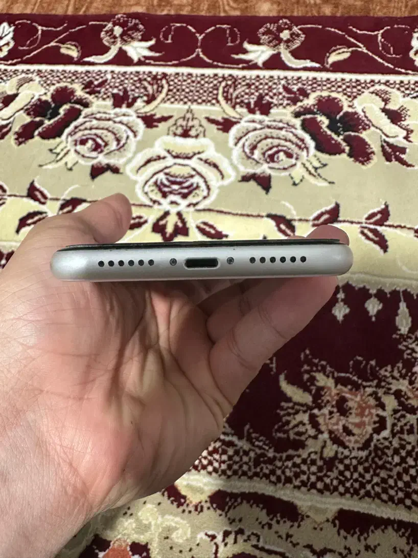 ایفون ۱۱ بدون بازشدگی|موبایل|تبریز, |دیوار