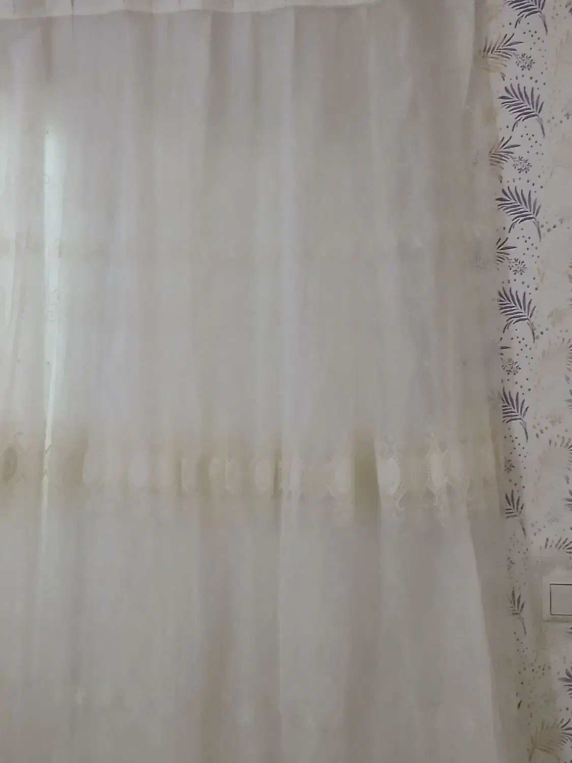 پرده پذیرایی|پرده، رانر، رومیزی|رشت, کوی مهر|دیوار