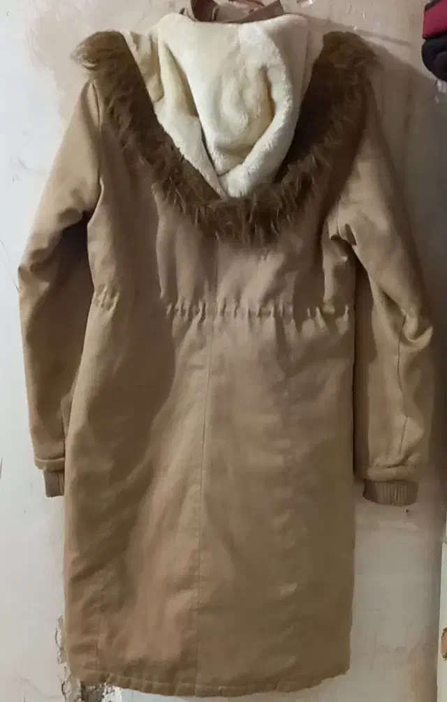 کاپشن|لباس|زابل, |دیوار