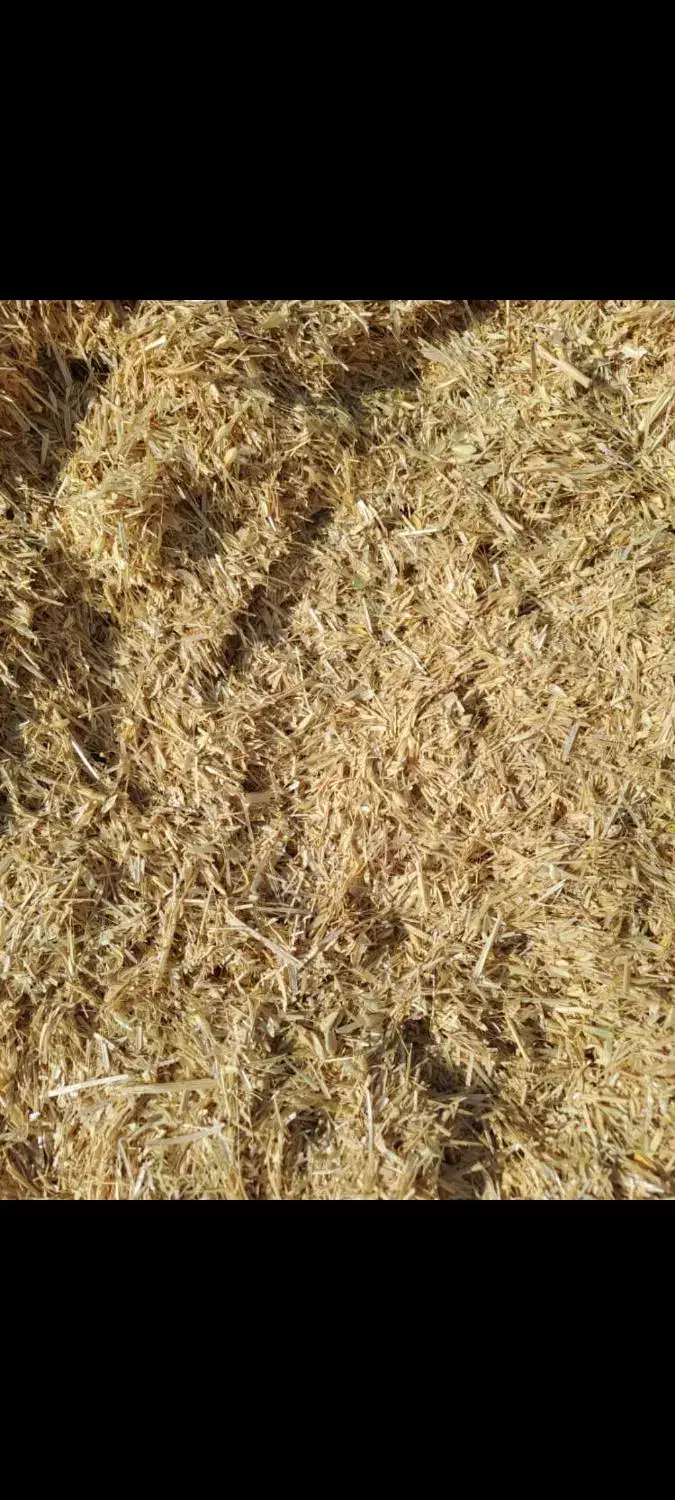 کاه گندم|خدمات باغبانی و درختکاری|مرودشت, ثبت احوال|دیوار