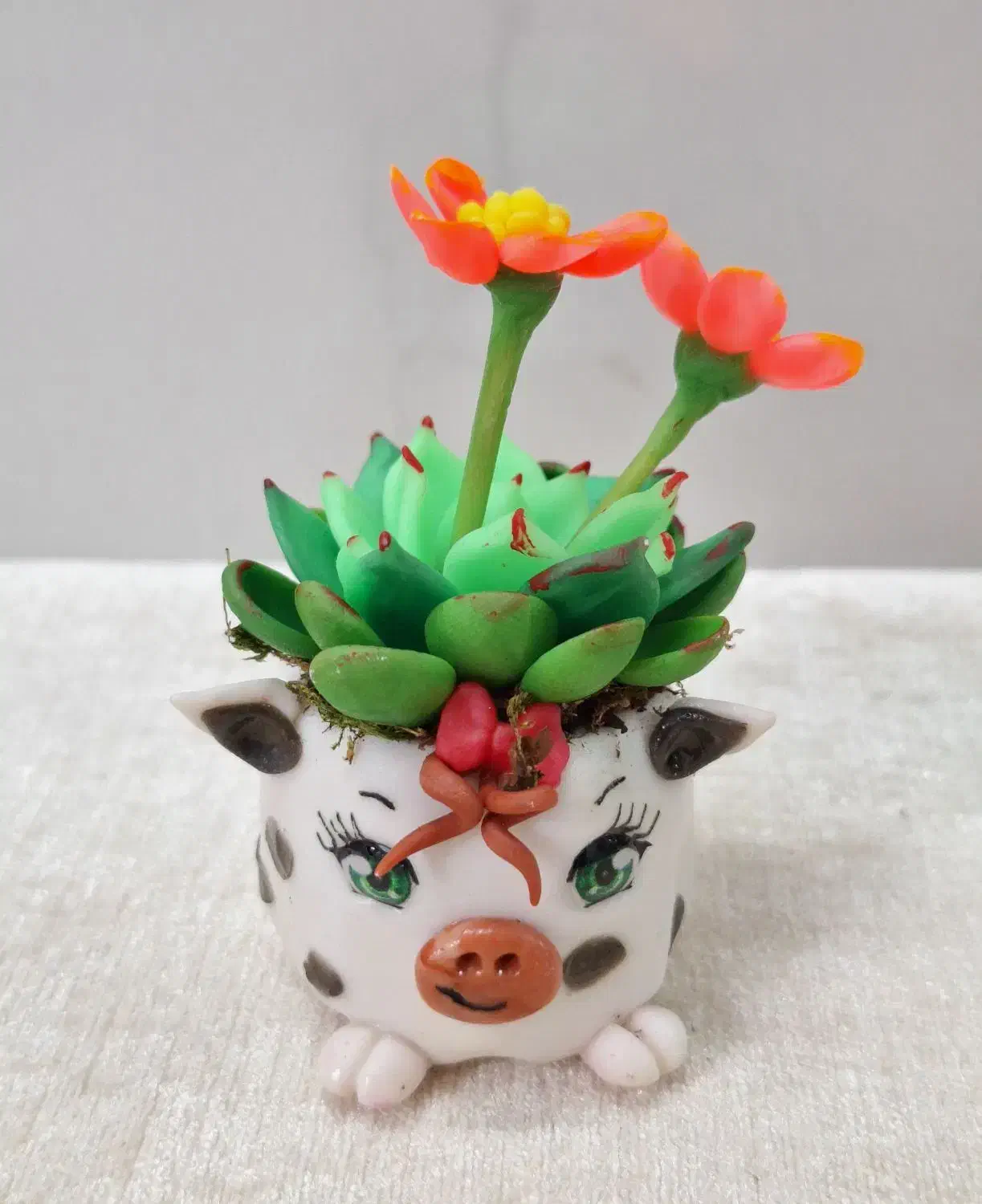 گلدان های فانتزی|کلکسیون و سرگرمی|قم, هنرستان|دیوار