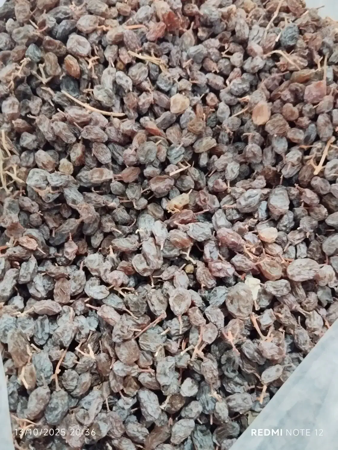 کشمش آفتابی ارگانیک|خوردنی و آشامیدنی|صائین قلعه, |دیوار