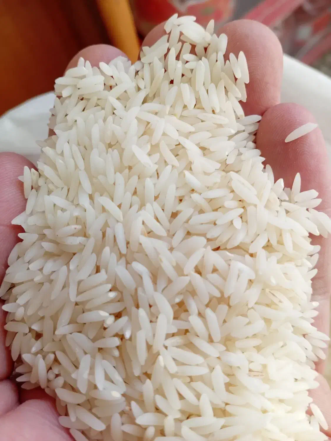 پخش عمده برنج شمال آستانه اشرفیه|خوردنی و آشامیدنی|اصفهان, پزوه|دیوار